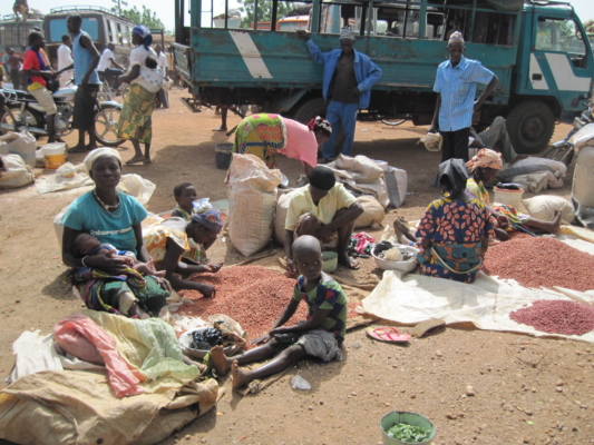 Disaster and Refugee Response: Global Principles and Practice (2020)