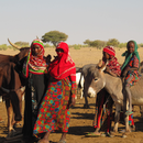 En ligne | EVALUER UN PROJET HUMANITAIRE