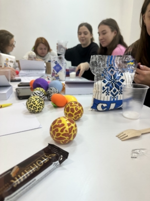 Sphere Handbook in Practice, Lviv, Ukraine, 24-26 October 2024