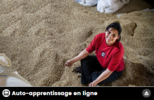 Un guide pratique pour l’analyse de marché