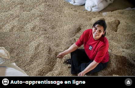 Un guide pratique pour l’analyse de marché