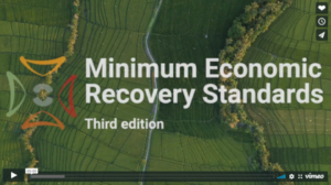 A Brief Overview of the Minimum Economic Recovery Standards