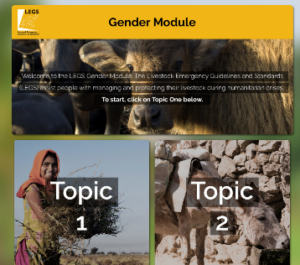 Livestock Emergency Guidelines and Standards (LEGS) Gender Module