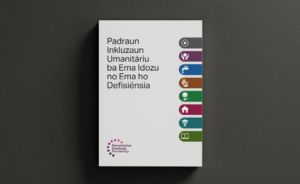 Humanitarian inclusion standards – Tetum