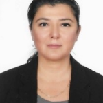 H. Ece Yılmaztürk