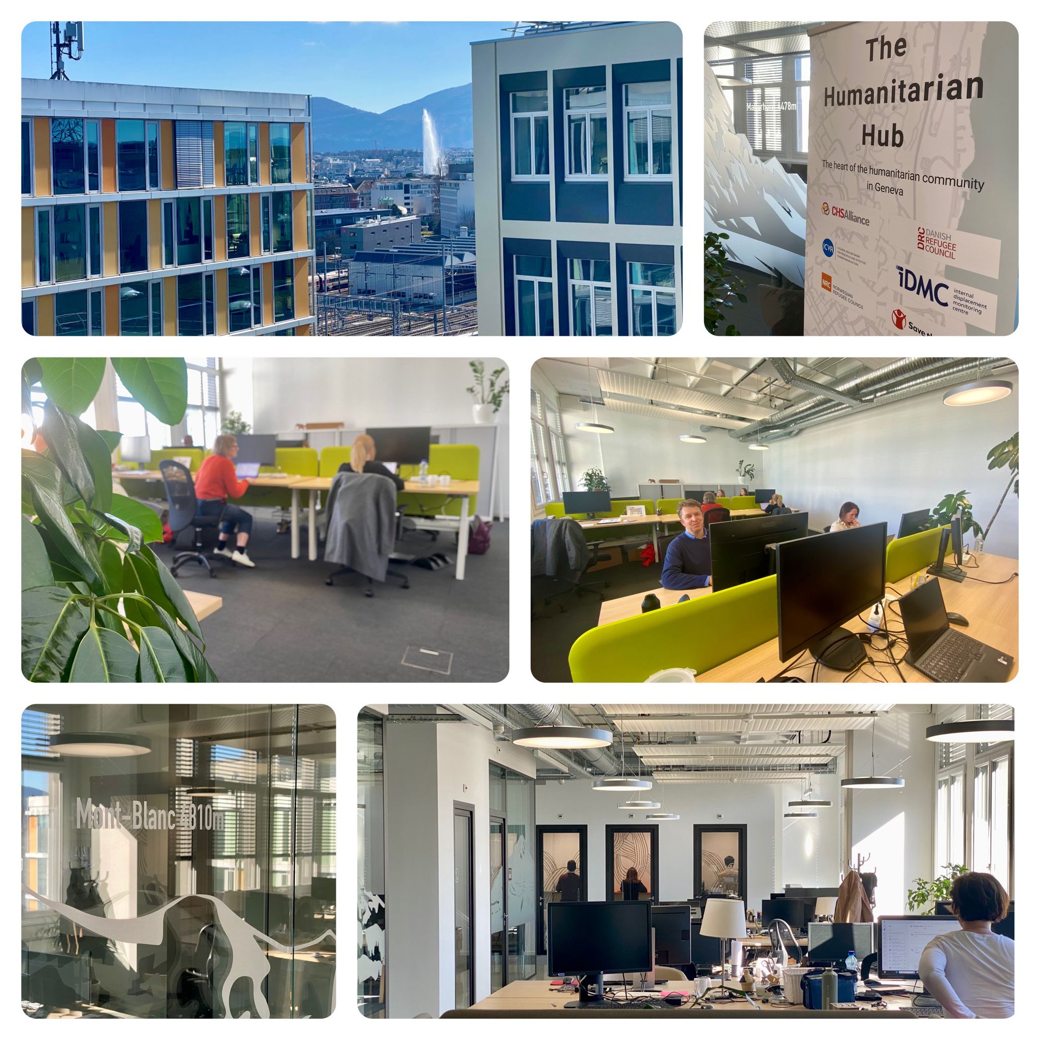 New working arrangement to bring closer collaboration between CHS Alliance and Sphere